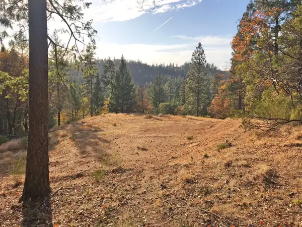 0 Holland Drive, Placerville, CA 95667