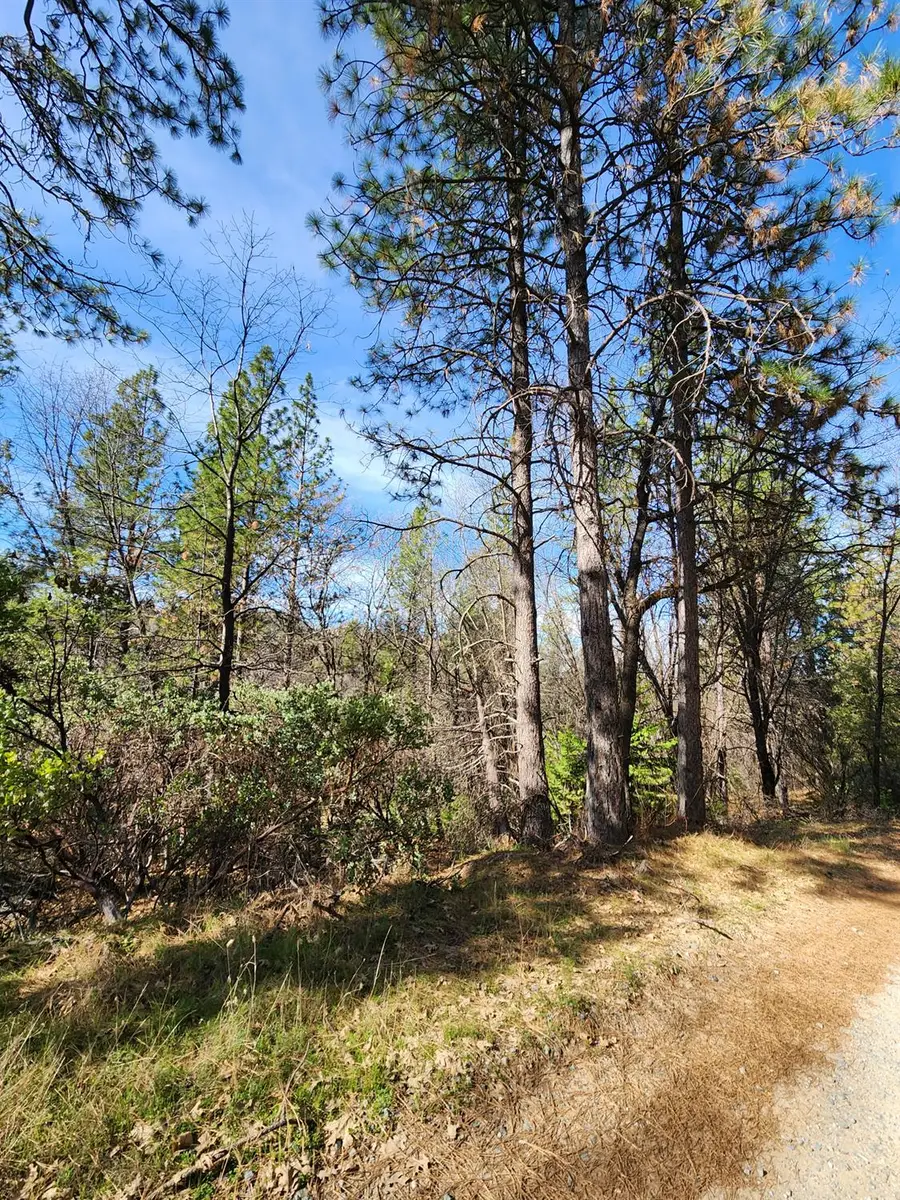 0 Old School House Road, Somerset, CA 95684 - #3