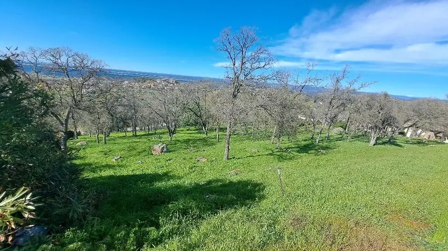 4530 Carmen Drive, El Dorado Hills, CA 95762 - #2