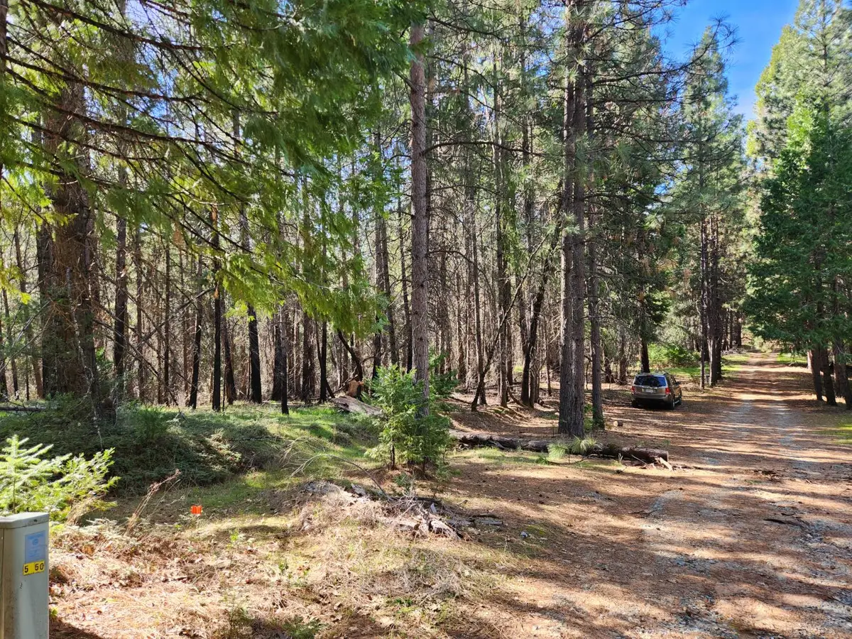 5303 Old Mine Road, Grizzly Flats, CA 95636 - #1