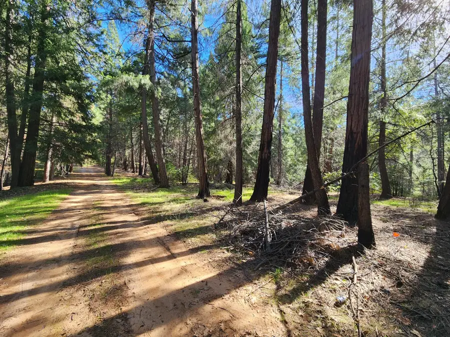 5303 Old Mine Road, Grizzly Flats, CA 95636 - #3