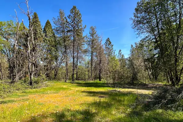 21138 Big Oak Lane, Lakehead, CA 96051