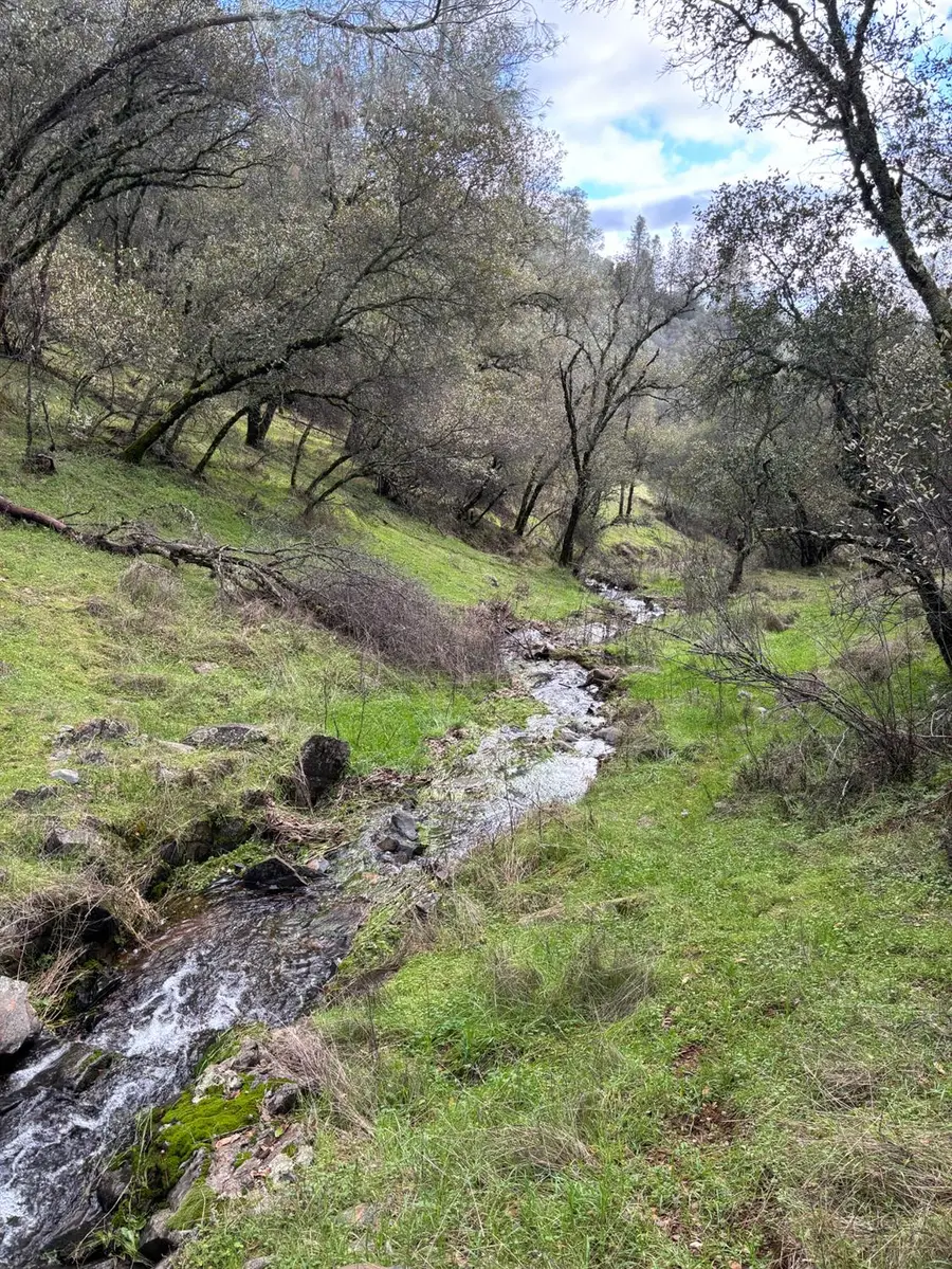 6340 Roller Coaster Road, Garden Valley, CA 95633 - #3