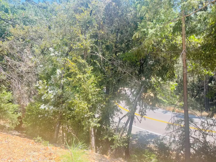 23025 Placer Hills Road, Colfax, CA 95713 - #3