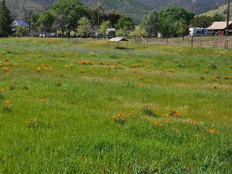 2252 Dennis Drive, Stonyford, CA 95979 - #2