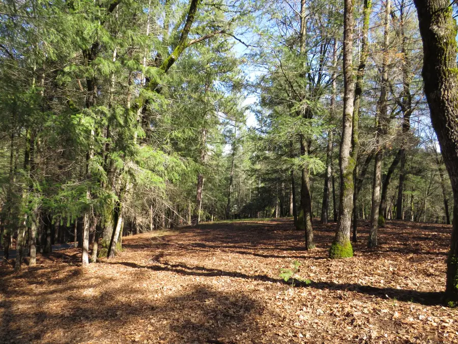 0 Forest Lake Place, Colfax, CA 95713 - #3