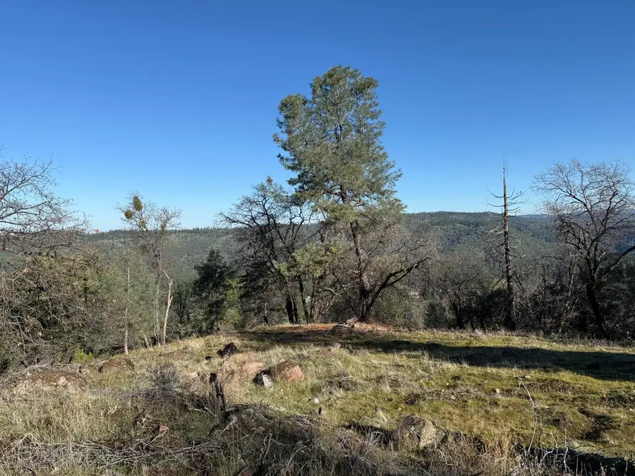 0 Snowberry Court, Murphys, CA 95247 - #3