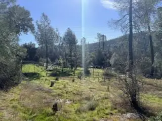 17202 Jupiter Drive, Twain Harte, CA 95383