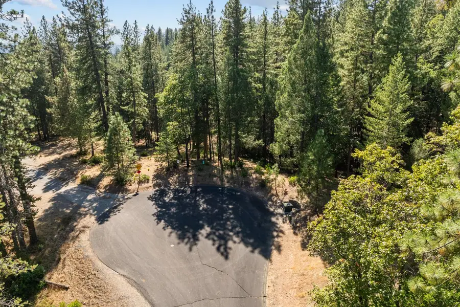 22090 Alton Trail, Foresthill, CA 95631 - #2