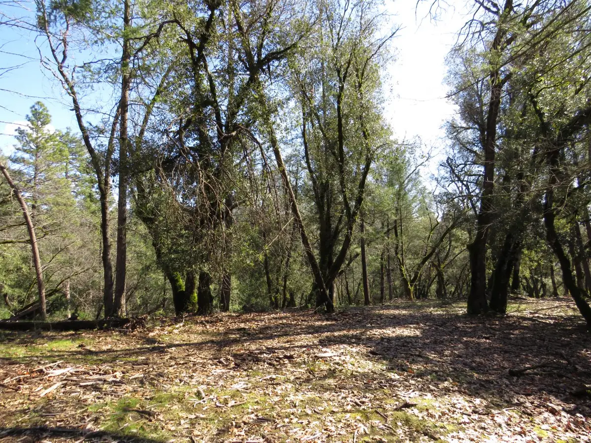 0 Forest Lake Place, Colfax, CA 95713 - #1