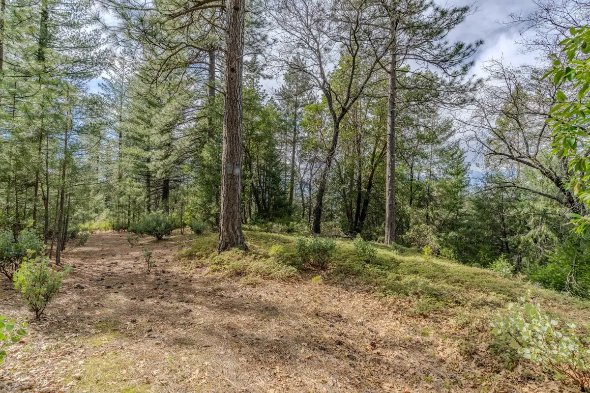 0 Volcano Trail, Pioneer, CA 95666 - #1