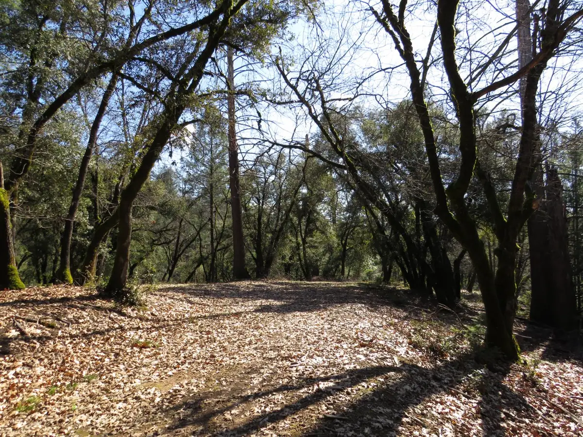 0 Forest Lake Place, Colfax, CA 95713 - #1