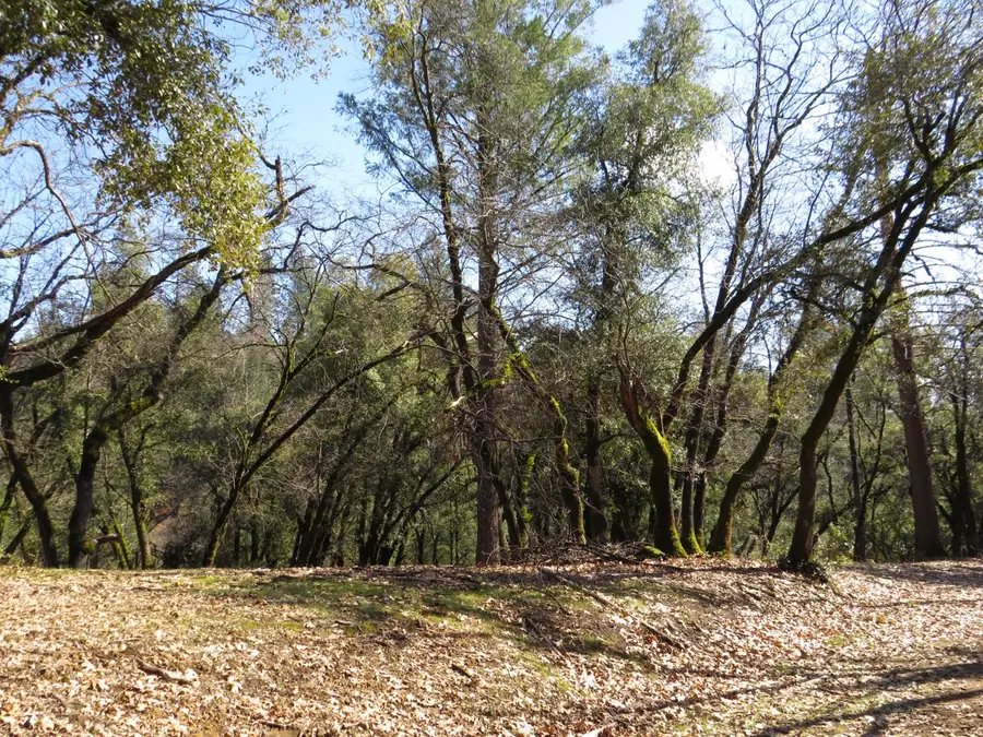 0 Forest Lake Place, Colfax, CA 95713 - #2