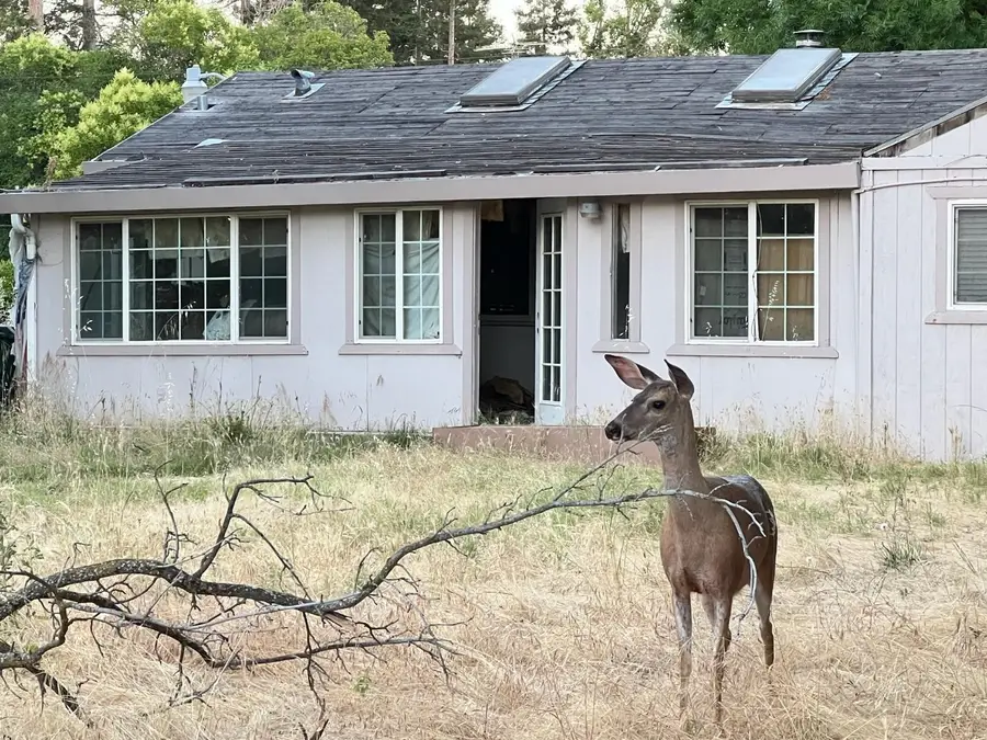 3244 Panama Avenue, Carmichael, CA 95608 - #3