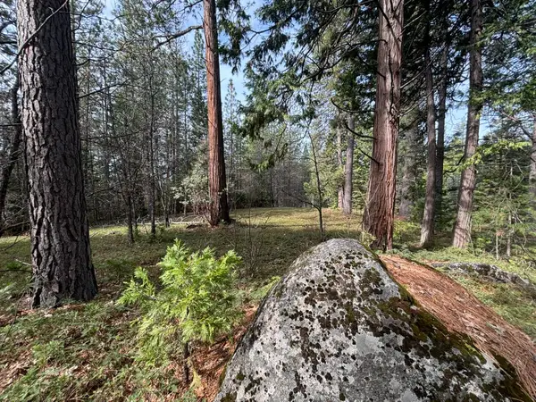 245 Heron Court, Avery, CA 95224