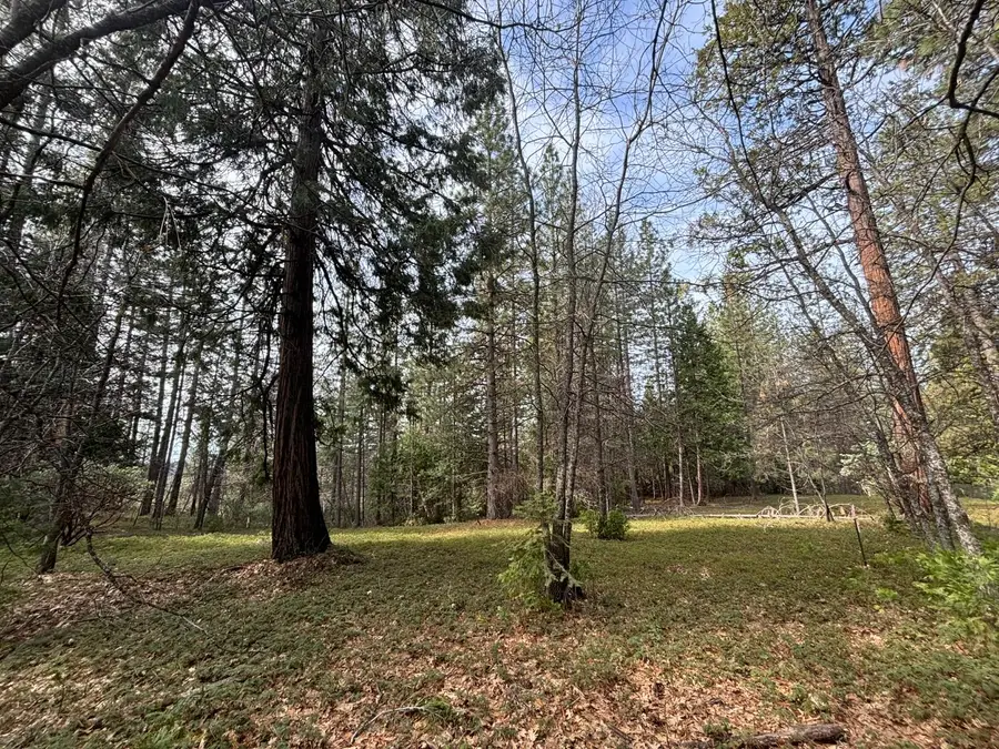 245 Heron Court, Avery, CA 95224 - #3