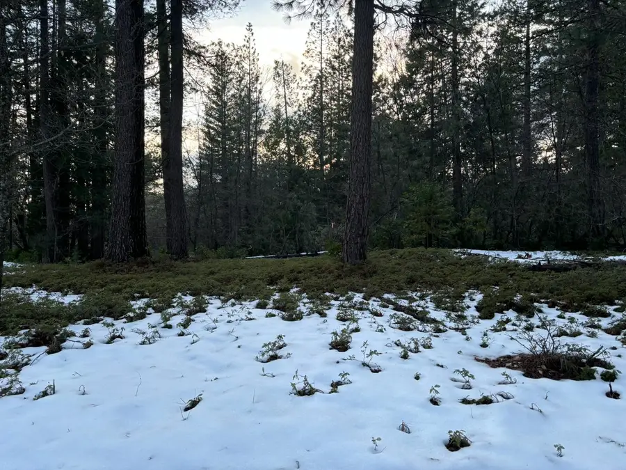 164 Vireo Court, Avery, CA 95224 - #2