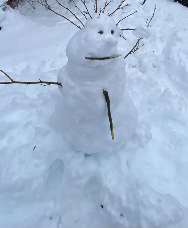 33312 Mattell Way, Dutch Flat, CA 95714