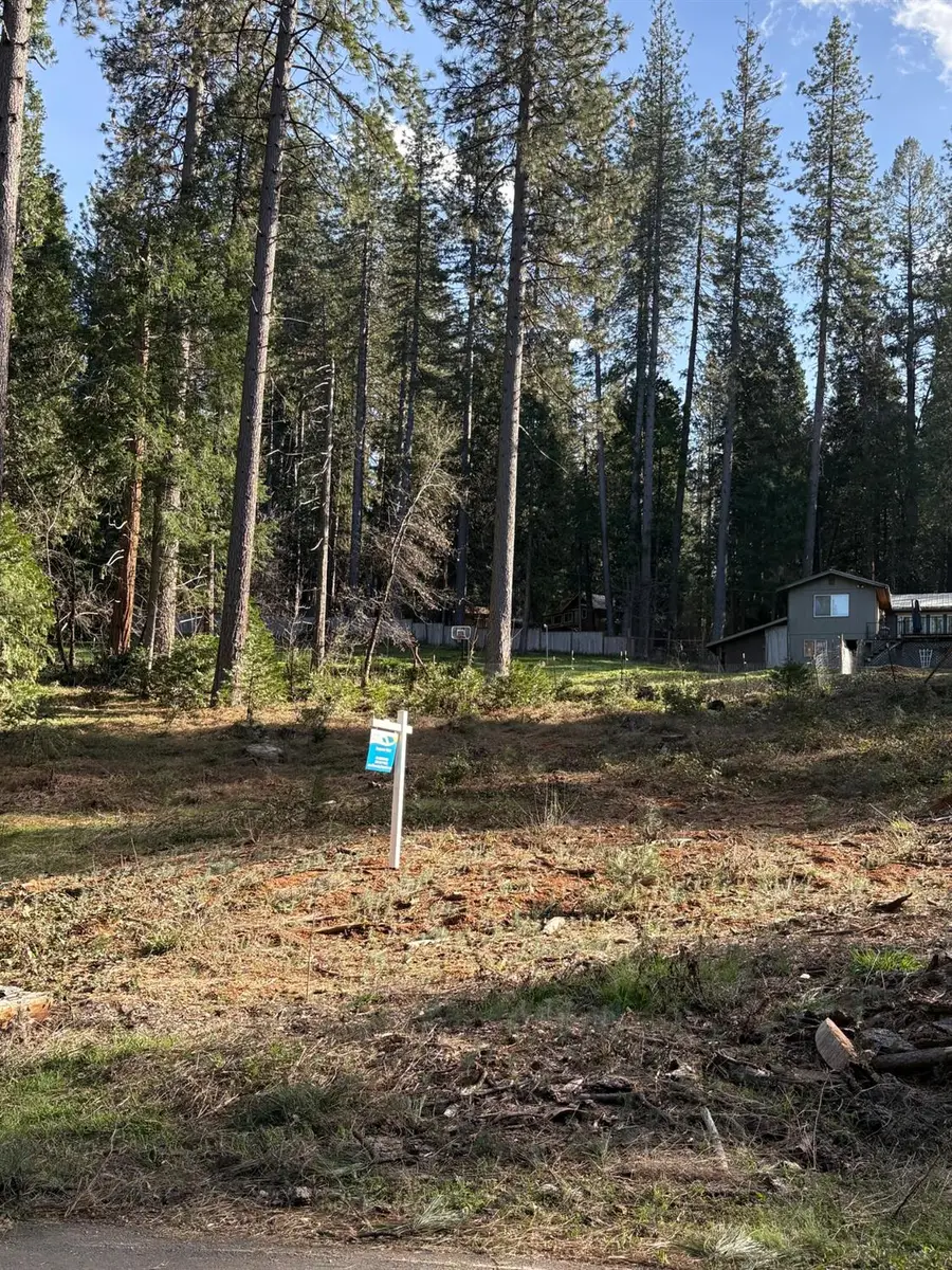 33312 Mattell Way, Dutch Flat, CA 95714 - #2