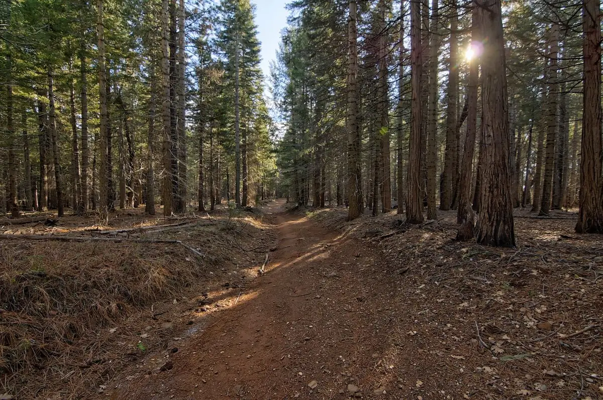 680 Sugar Pine Road, Alta, CA 95701 - #1