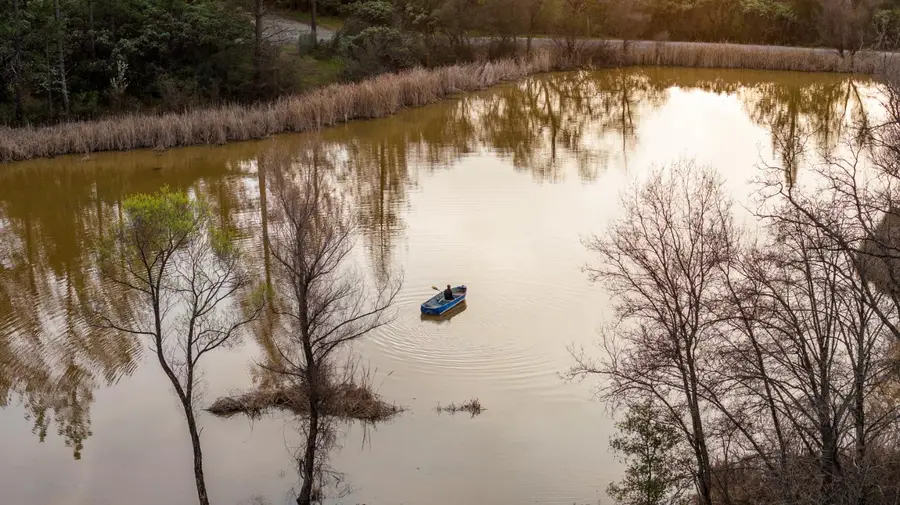 16098 Wild Oak Ranch Road, Grass Valley, CA 95949 - #3