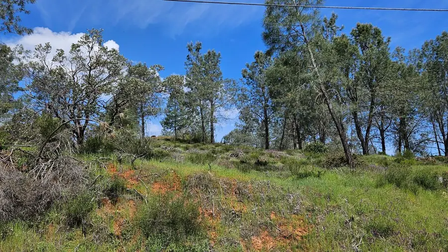 1641 Hidden Bridge Road, El Dorado Hills, CA 95762 - #3