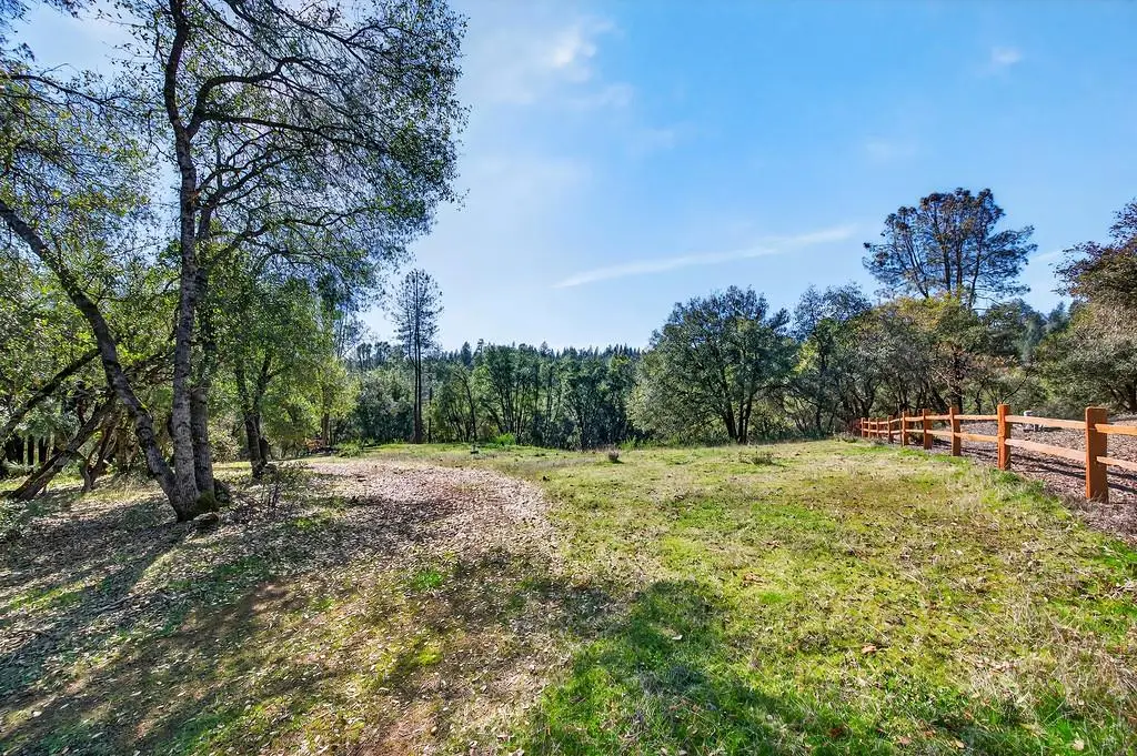 1 Cuckoo Court, Applegate, CA 95703 - #1
