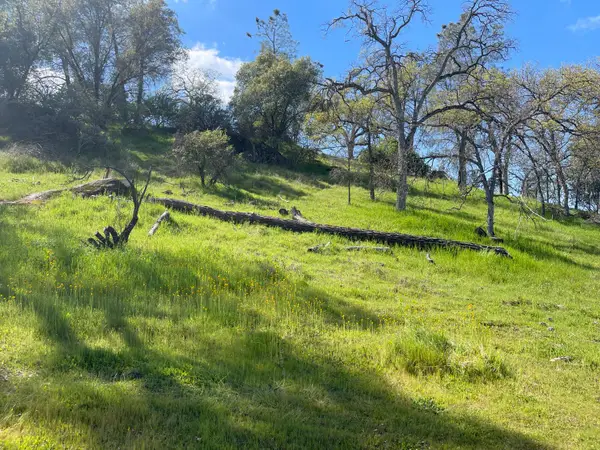 0 Depp Fore4st Drive, Coarsegold, CA 93614
