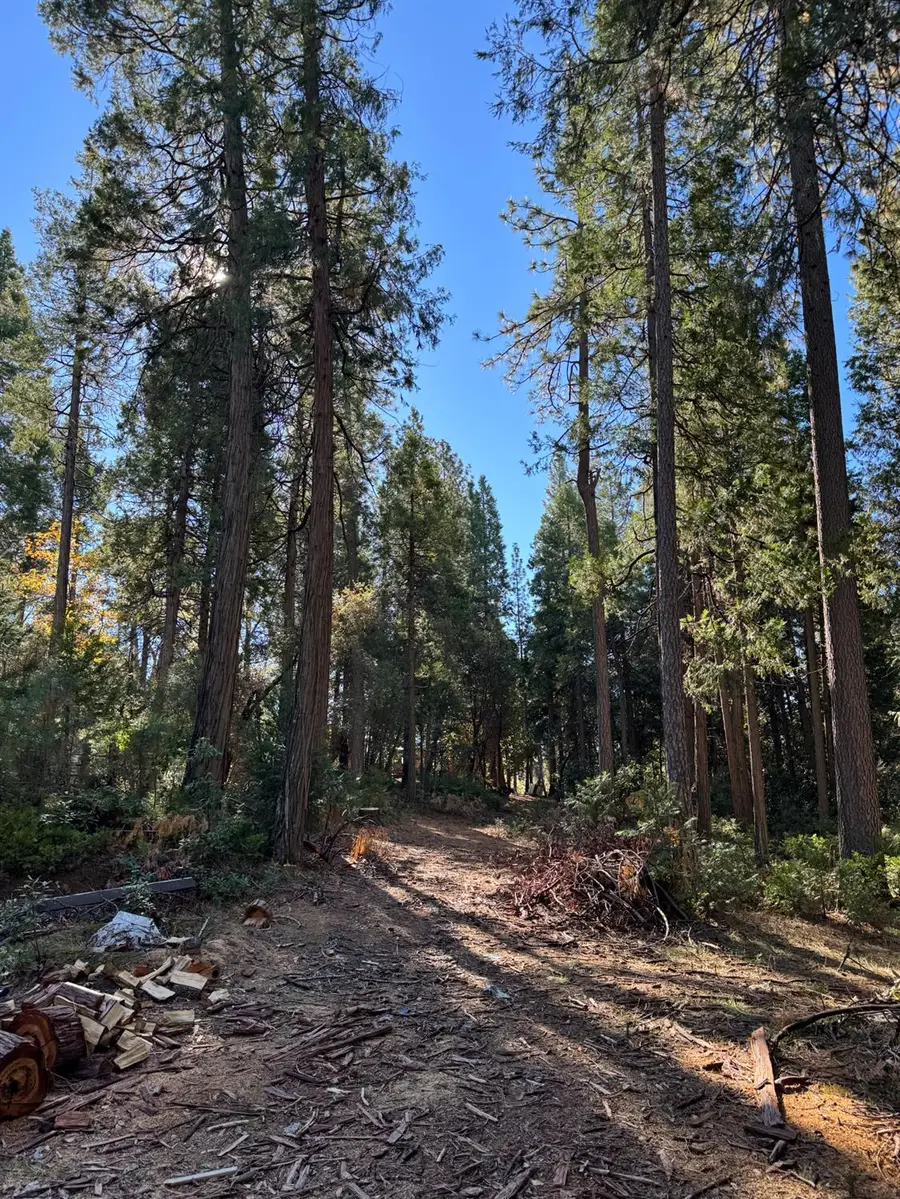 15855 Sunny Drive, Pioneer, CA 95666 - #3