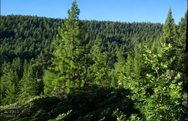 0 Lee Road, Quincy, CA 95971