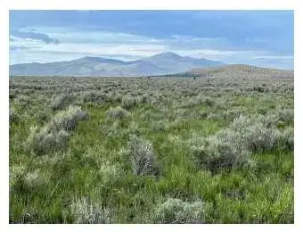 9999 Prairie Drive, Termo, CA 96132 - #1