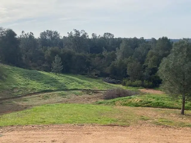 12139 Brandy Lane, Burson, CA 95225 - #3