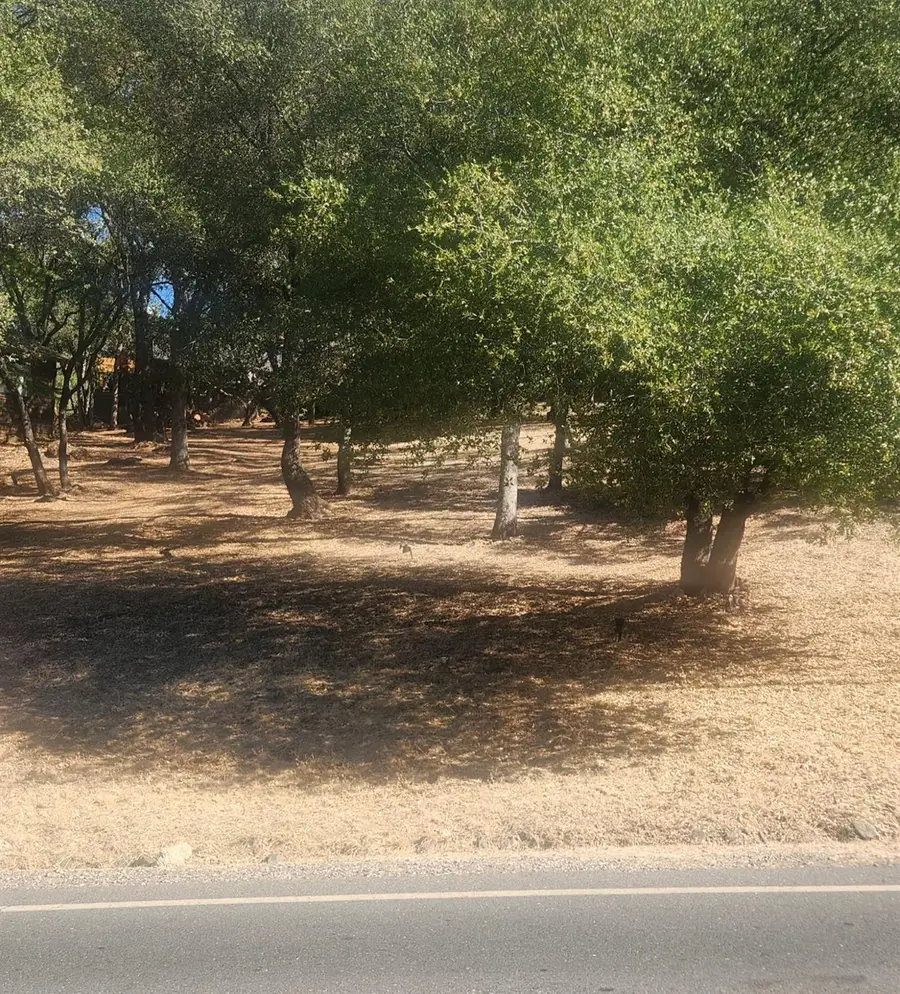 13033 Lake Wildwood Drive, Penn Valley, CA 95946 - #2