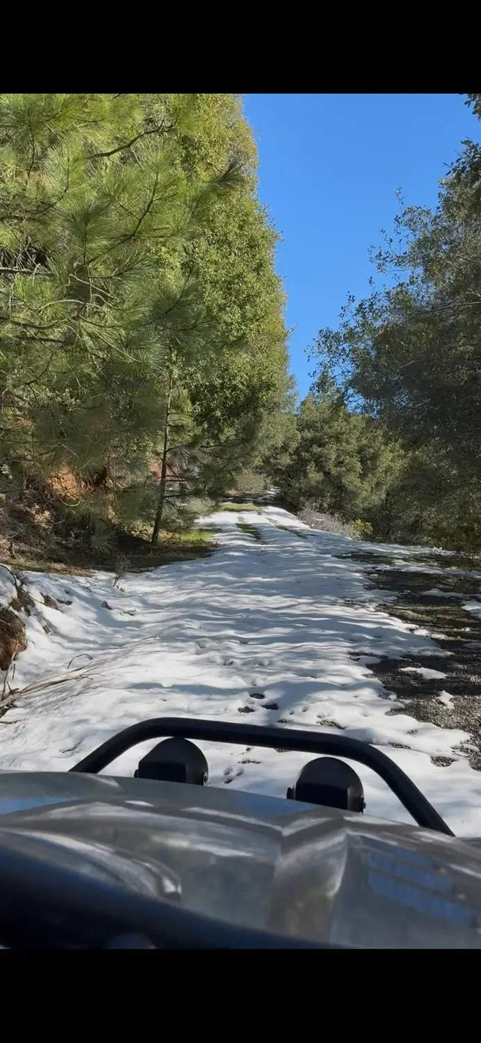 15238 Highway 26, Glencoe, CA 95245 - #1