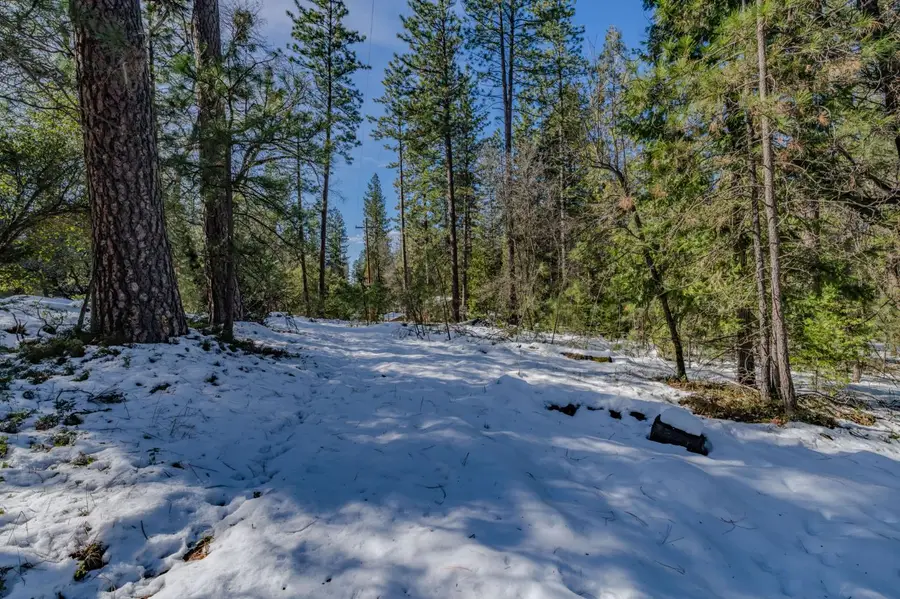 4801 Blue Mountain Road, Wilseyville, CA 95257 - #3