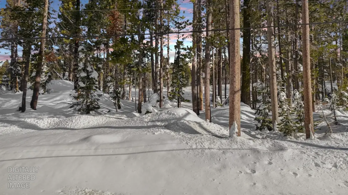 21864 Lotta Crabtree Terrace, Soda Springs, CA 95728 - #1