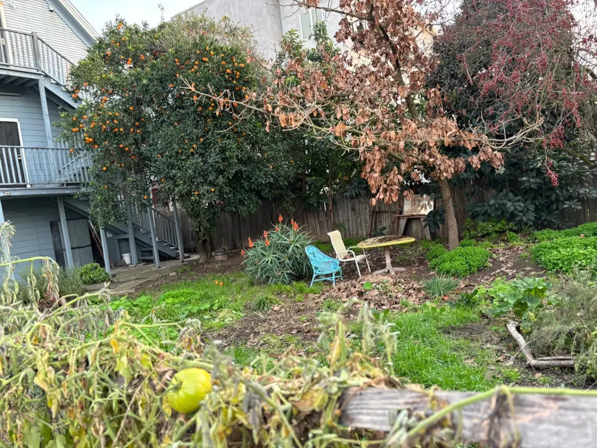 920 Tomato Alley, Sacramento, CA 95818 - #1