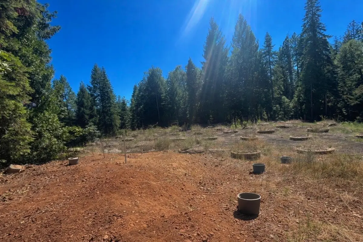 14666 Woolford Mill Road, Nevada City, CA 95959 - #1