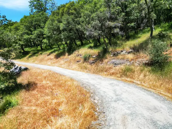 10441 Rim Rock Lane, Nevada City, CA 95959