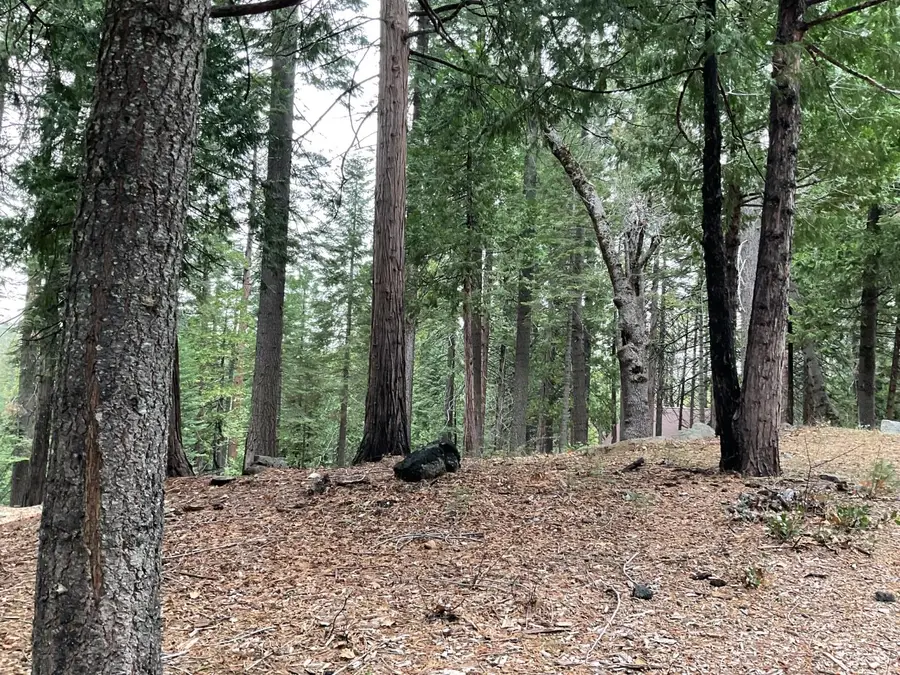 3065 Apache Road, Arnold, CA 95223 - #2