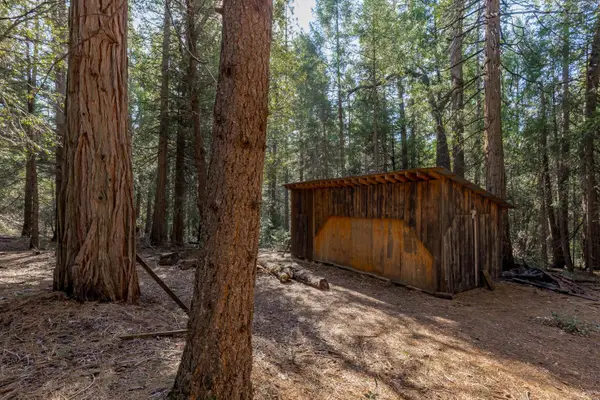 0 Gold Creek Trail, Volcano, CA 95689