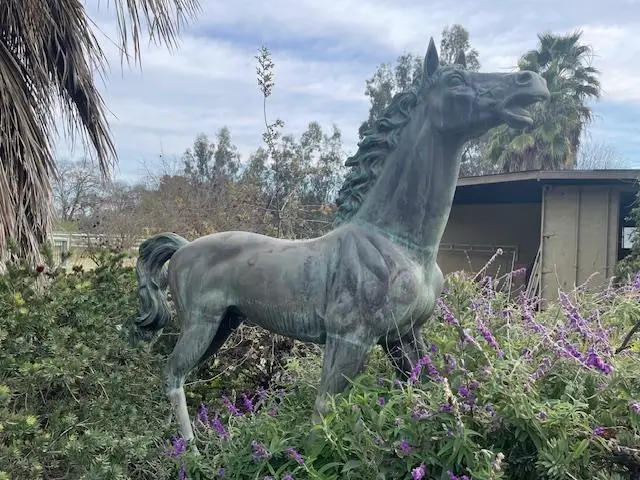 28108 Thornton Road, Thornton, CA 95632 - #1