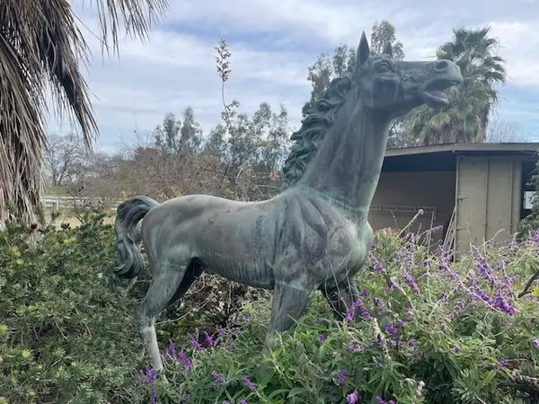 28108 Thornton Road, Thornton, CA 95632