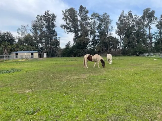 28108 Thornton Road, Thornton, CA 95632 - #2