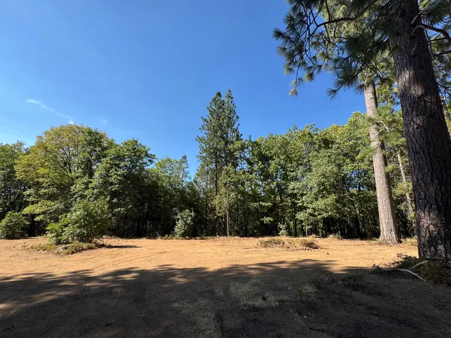 901 Bald Mountain Road, West Point, CA 95255 - #2