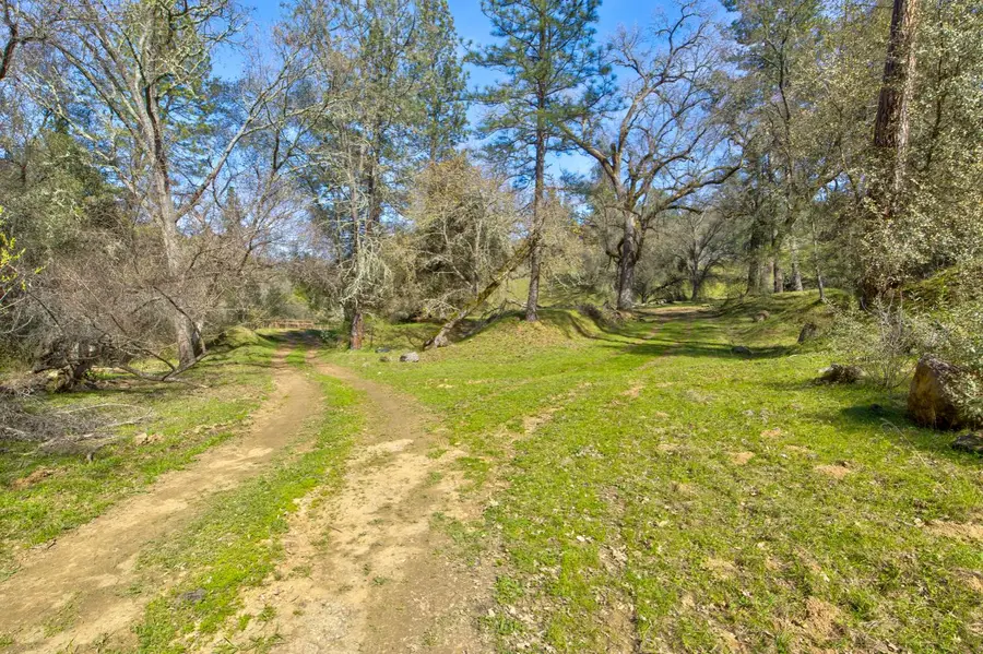 12442 Trembath Mtn Road, Fiddletown, CA 95629 - #3