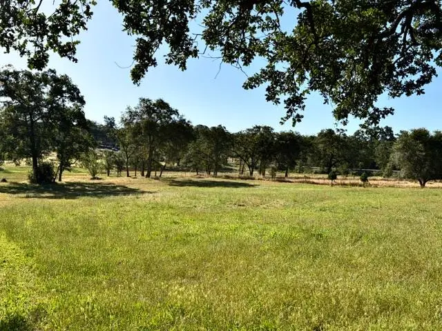 4703 Doe Street, Shingle Springs, CA 95682 - #1
