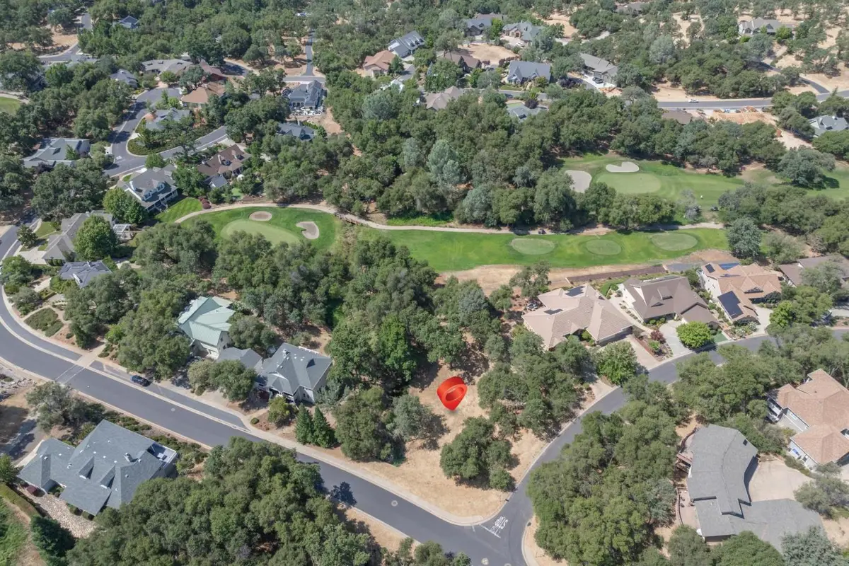 336 Catalpa Lane, Angels Camp, CA 95222 - #1