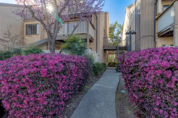 539 Woodside Oaks #6, Sacramento, CA 95825