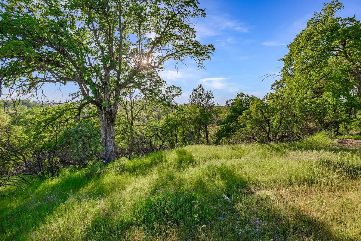166 Quartz Hill Road, Redding, CA 96003 - #1